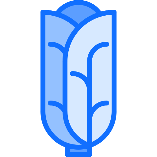 Cabbage icon