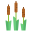 Cattail アイコン 64x64