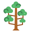 Sequoia アイコン 64x64