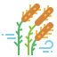Reeds アイコン 64x64