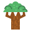 Beech 상 64x64