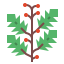 Holly 상 64x64