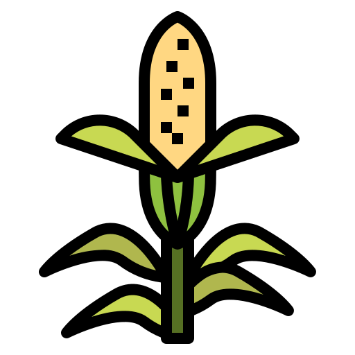 Corn icon