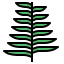 Fern 상 64x64