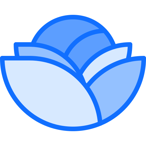 Cabbage icon