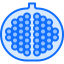 Pomegranate 图标 64x64