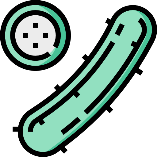 Cucumber 图标