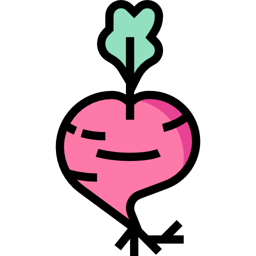 Radish 图标