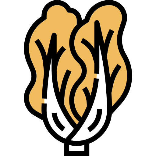 Cabbage icon