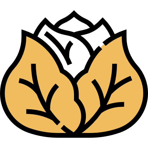 Cabbage icon