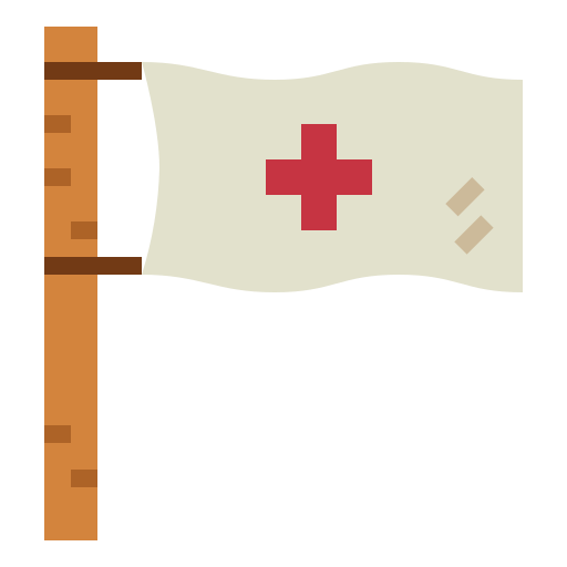 Flag icon
