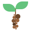 Coffee beans 图标 64x64