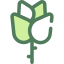 Rose icon 64x64