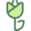 Tulip icon 64x64