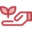 Sprout icon 64x64