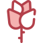 Rose icon 64x64