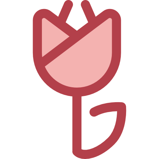 Tulip Ikona