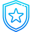 Shield Ikona 64x64