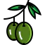 Olives icon 64x64