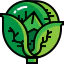 Cabbage icon 64x64