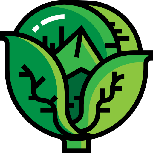 Cabbage icon