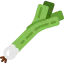 Onion ícono 64x64
