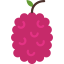 Raspberry ícono 64x64