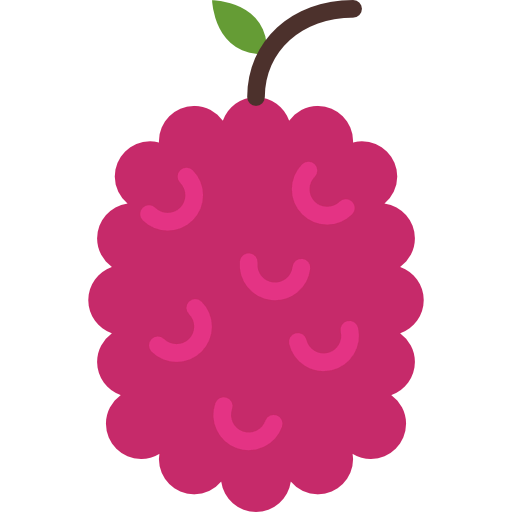 Raspberry ícono