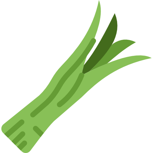 Onion icon