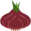 Shallot ícono 64x64