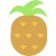 Pineapple ícono 64x64
