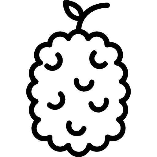 Raspberry ícono