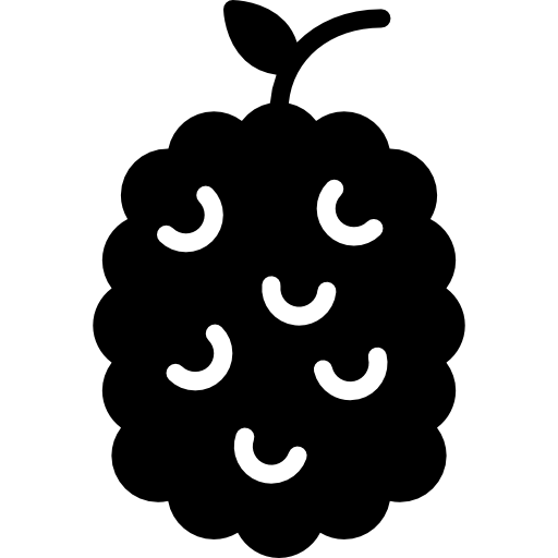 Raspberry ícono
