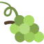 Grape icon 64x64