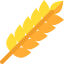 Wheat icon 64x64