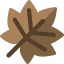 Maple leaf icon 64x64