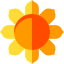 Sunflower icon 64x64