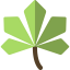 Maple leaf icon 64x64