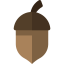 Acorn icon 64x64