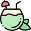 Coconut drink icon 64x64