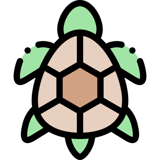 Turtle icon