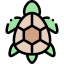 Turtle icon 64x64