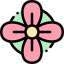 Flower icon 64x64