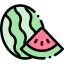 Watermelon icon 64x64