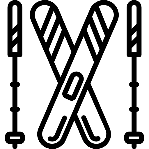 Ski icon
