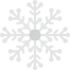 Snowflake icon 64x64