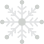Snowflake icon 64x64