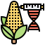 Gmo 상 64x64