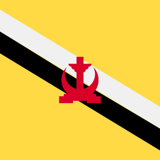 Brunei icon