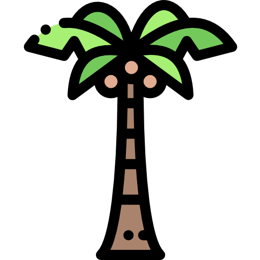 Coconut tree icône